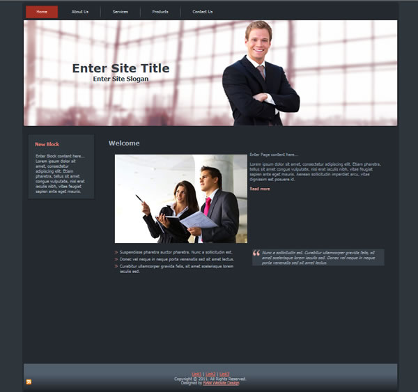 Free CSS/HTML Template 1