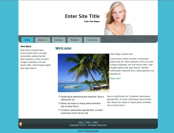 Free CSS/HTML Template 5