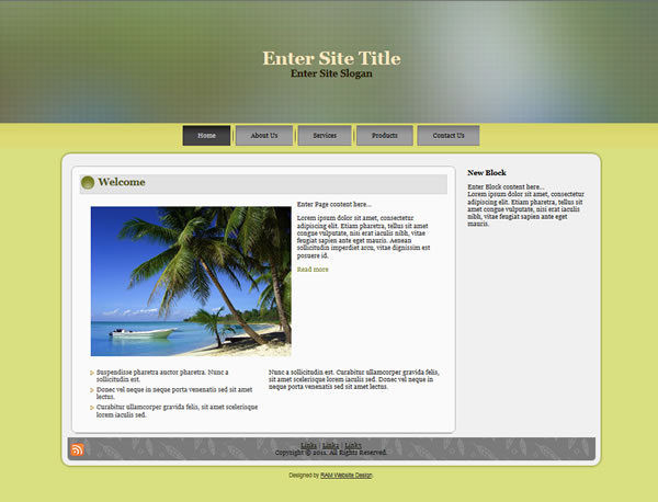 Free CSS/HTML Template 8